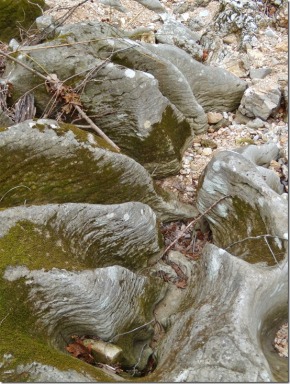 Dissolutioned limestone in creek bed, Stone County